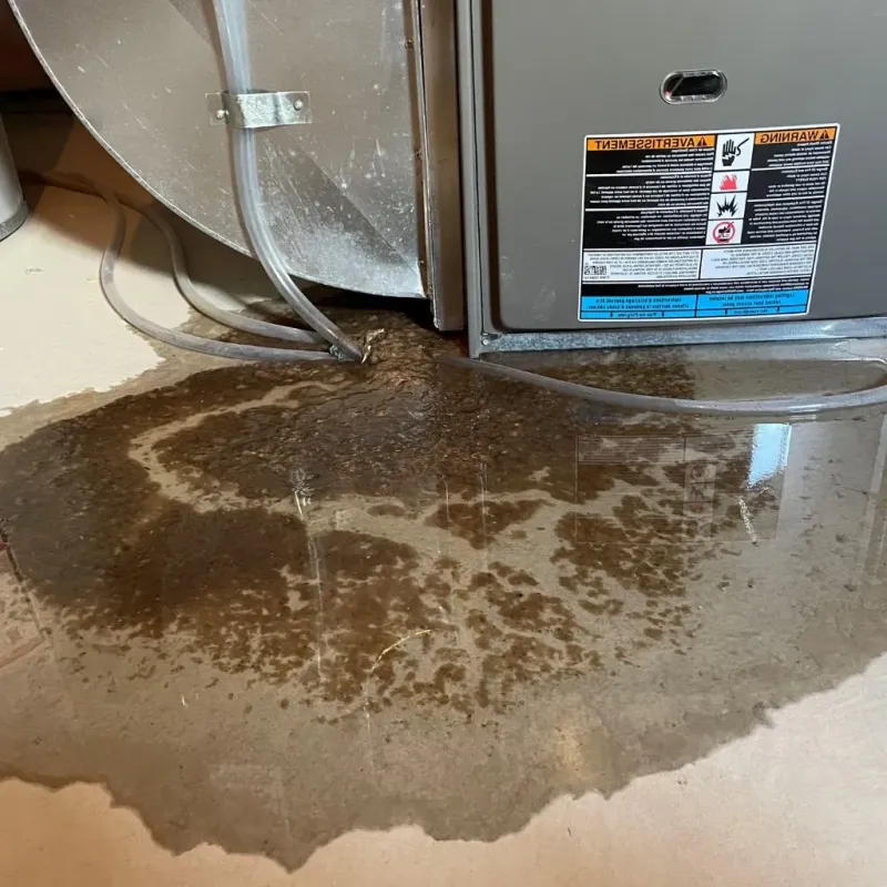 Pipe Burst and Leak Restoration in Pomeroy, OH