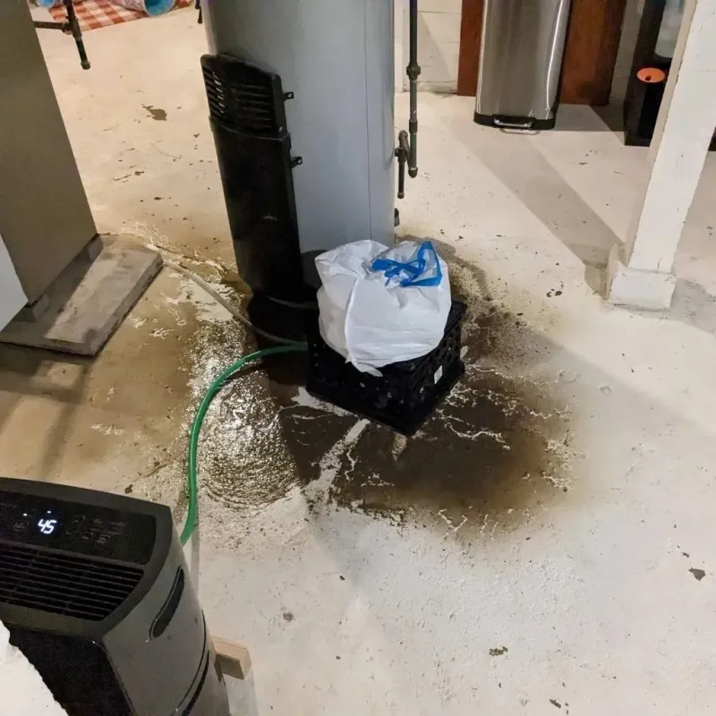 Sewage Backup Cleanup Service in Pomeroy, OH